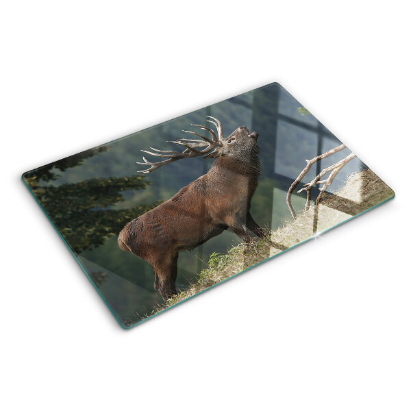 Snijplanken van glas Hert in zijn natuurlijke leefomgeving