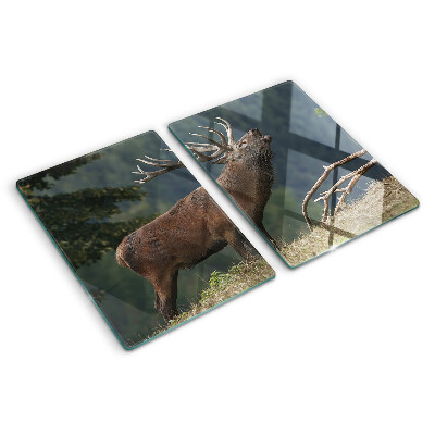 Snijplanken van glas Hert in zijn natuurlijke leefomgeving