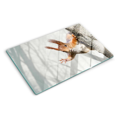 Snijplanken glas Eekhoorn op een tak