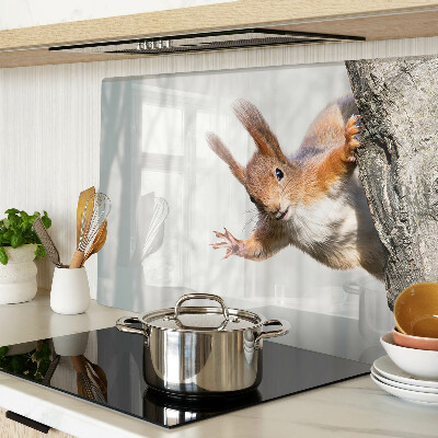 Snijplanken glas Eekhoorn op een tak