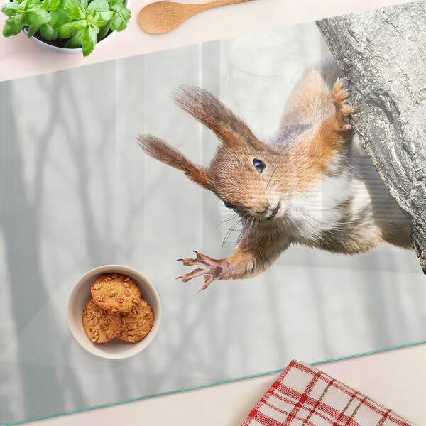 Snijplanken glas Eekhoorn op een tak
