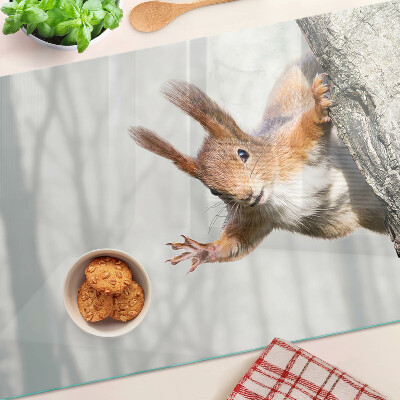 Snijplanken glas Eekhoorn op een tak