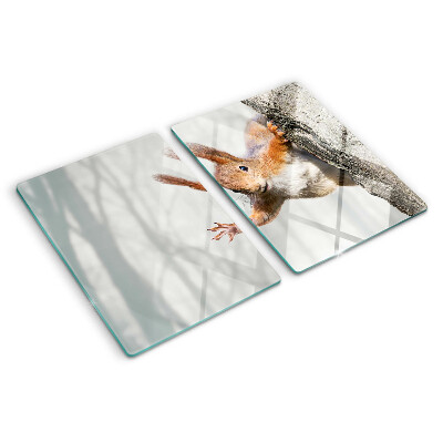 Snijplanken glas Eekhoorn op een tak