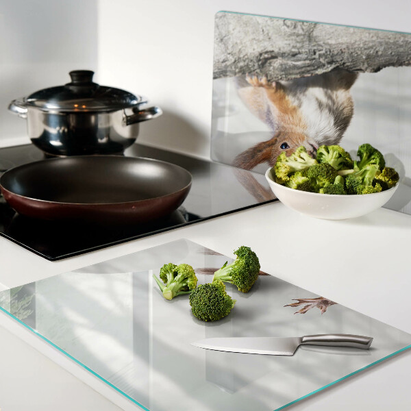 Snijplanken glas Eekhoorn op een tak