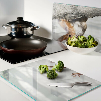 Snijplanken glas Eekhoorn op een tak