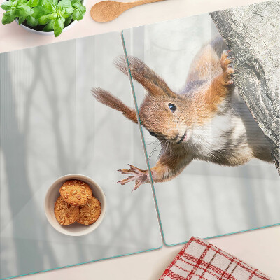 Snijplanken glas Eekhoorn op een tak