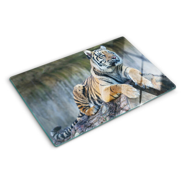 Glazen snijplanken Tijger op een boomstam