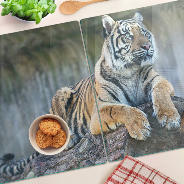 Glazen snijplanken Tijger op een boomstam