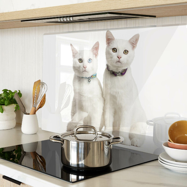 Snijplanken van glas Witte katten met ogen in verschillende kleuren