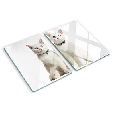 Snijplanken van glas Witte katten met ogen in verschillende kleuren