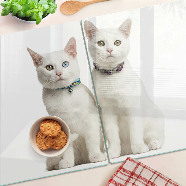 Snijplanken van glas Witte katten met ogen in verschillende kleuren