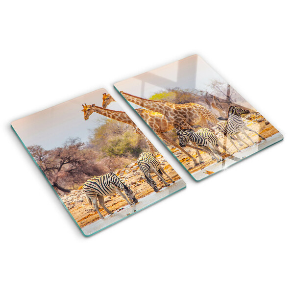 Snijplanken van glas Zebra's en giraffen in hun natuurlijke leefomgeving