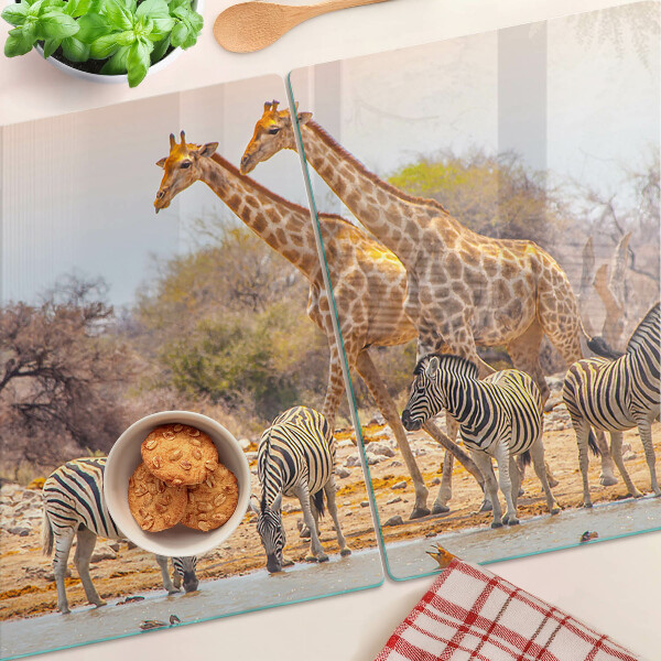 Snijplanken van glas Zebra's en giraffen in hun natuurlijke leefomgeving