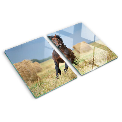 Snijplanken glas Een paard in de wei