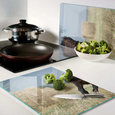 Snijplanken glas Een paard in de wei