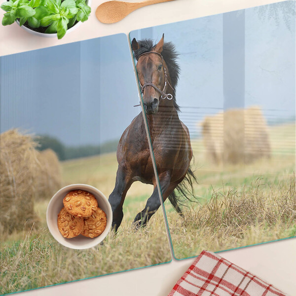 Snijplanken glas Een paard in de wei