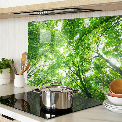 Snijplanken van glas Bossen en groene bomen