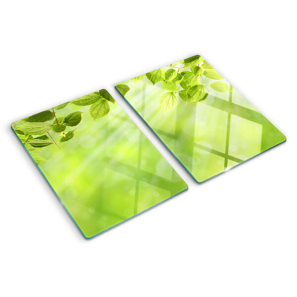 Glazen snijplanken Groene bladeren tegen het licht