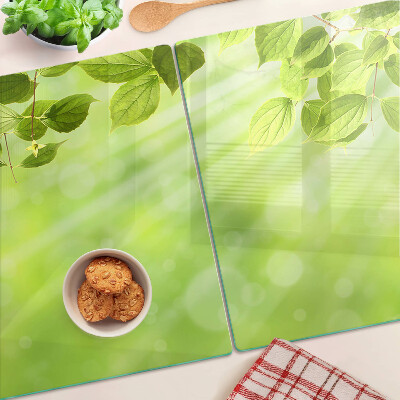 Glazen snijplanken Groene bladeren tegen het licht