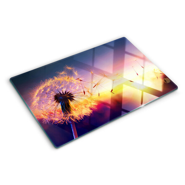 Glazen snijplanken Paardenbloemen tegen de achtergrond van de zonsondergang