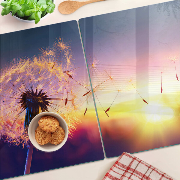 Glazen snijplanken Paardenbloemen tegen de achtergrond van de zonsondergang