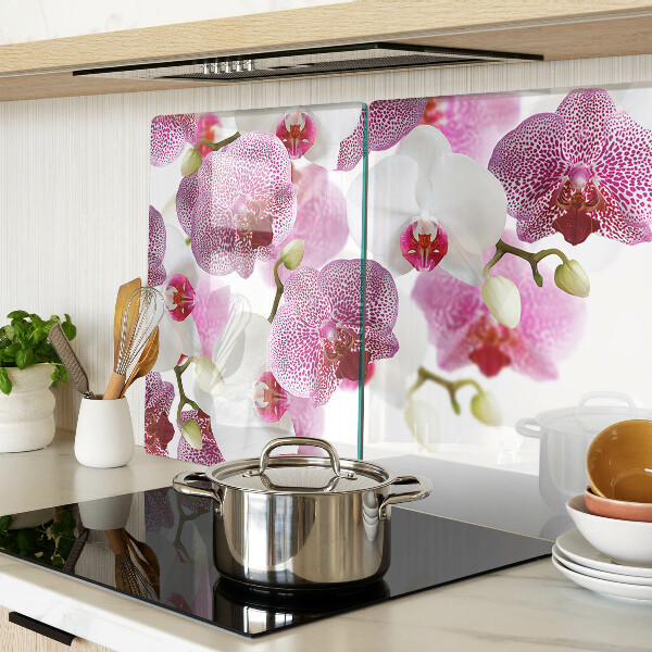 Snijplanken van glas Orchideeën op de achtergrond van het raam.