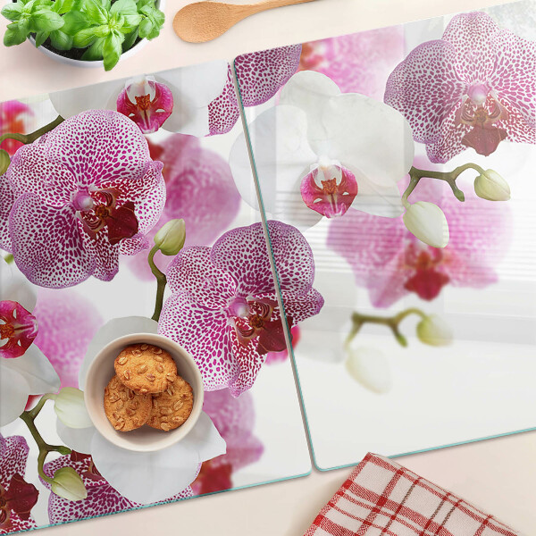 Snijplanken van glas Orchideeën op de achtergrond van het raam.