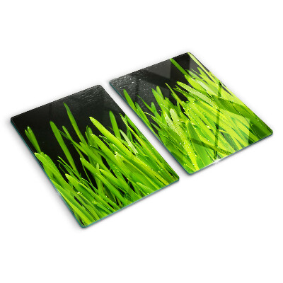 Snijplanken van glas Groen gras met waterdruppels