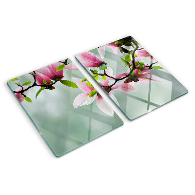 Snijplanken glas Magnoliabloemen tegen een achtergrond van groen.