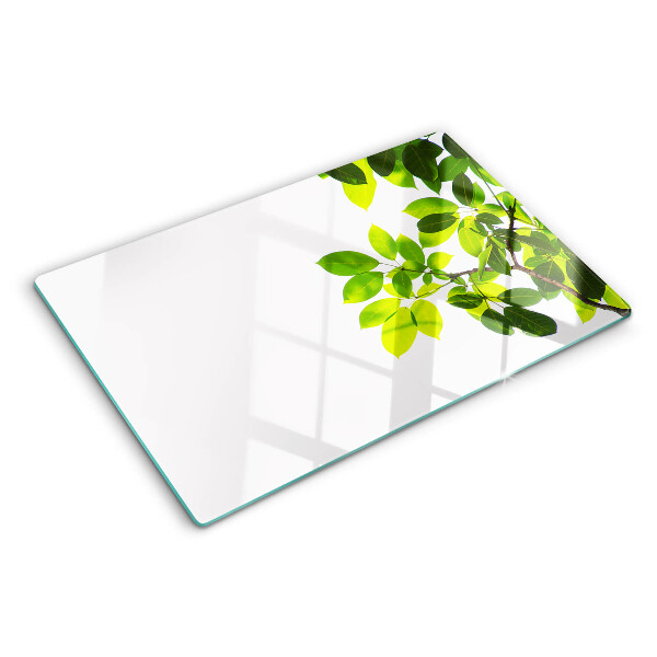 Snijplanken glas Bladeren tegen een heldere hemel