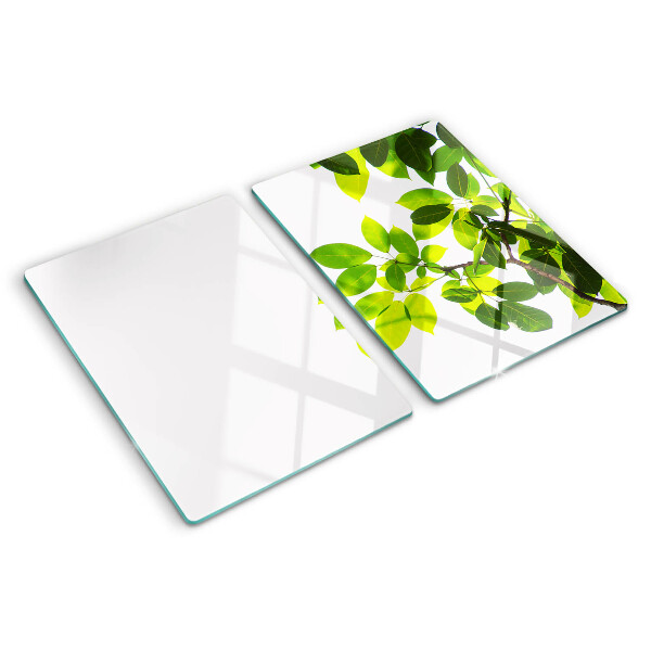 Snijplanken glas Bladeren tegen een heldere hemel