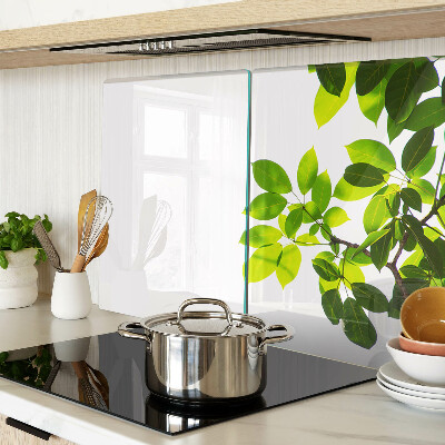 Snijplanken glas Bladeren tegen een heldere hemel