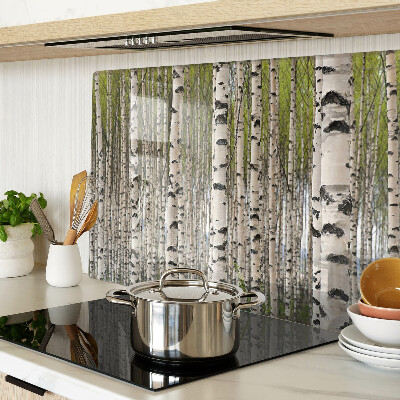 Snijplanken van glas Witte berken in het bos