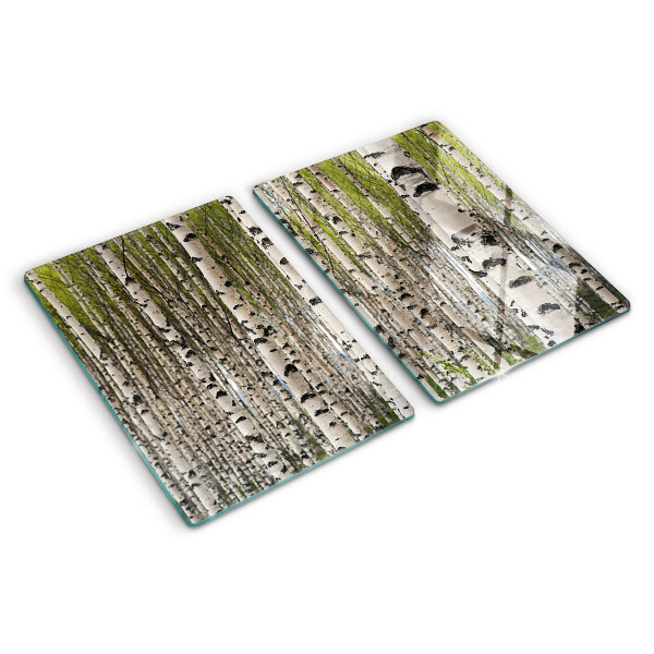 Snijplanken van glas Witte berken in het bos