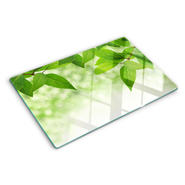 Snijplanken van glas Bladeren tegen een achtergrond van wazig groen.