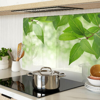 Snijplanken van glas Bladeren tegen een achtergrond van wazig groen.