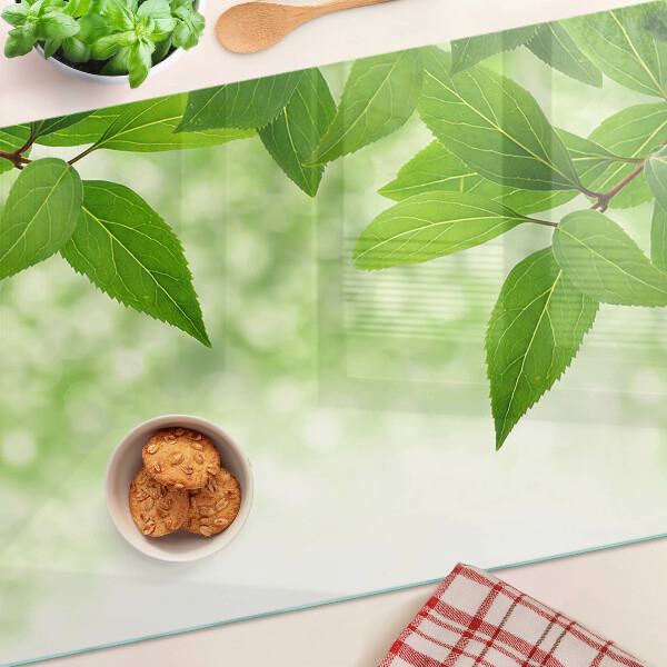 Snijplanken van glas Bladeren tegen een achtergrond van wazig groen.