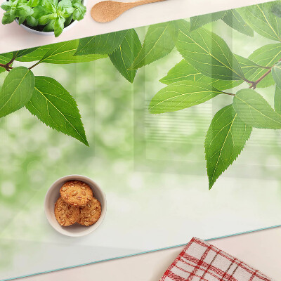 Snijplanken van glas Bladeren tegen een achtergrond van wazig groen.