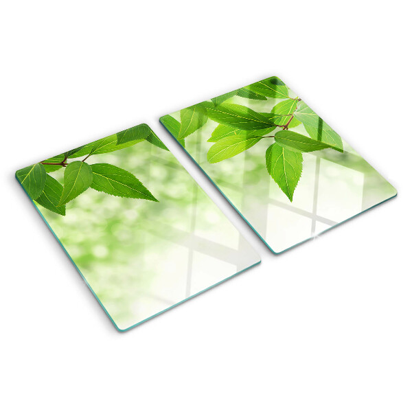 Snijplanken van glas Bladeren tegen een achtergrond van wazig groen.