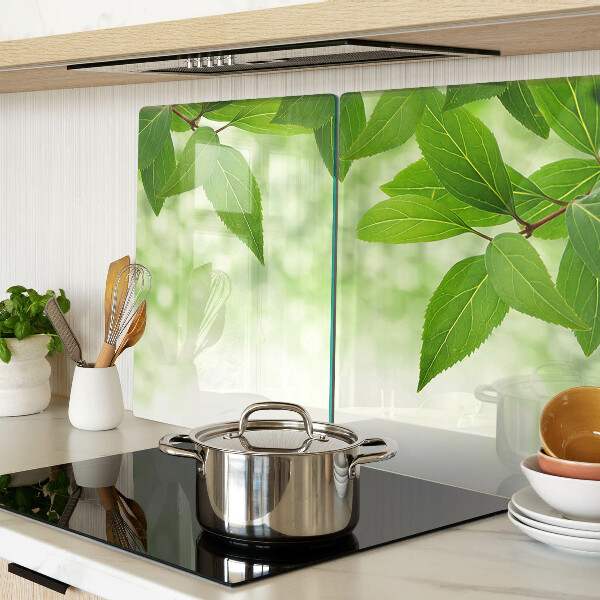 Snijplanken van glas Bladeren tegen een achtergrond van wazig groen.