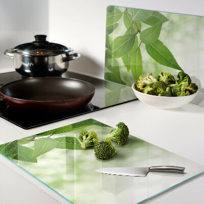 Snijplanken van glas Bladeren tegen een achtergrond van wazig groen.