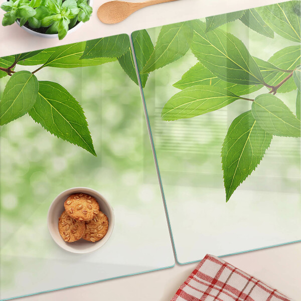 Snijplanken van glas Bladeren tegen een achtergrond van wazig groen.