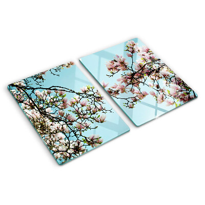 Snijplanken van glas Magnoliabloemen op een blauwe achtergrond