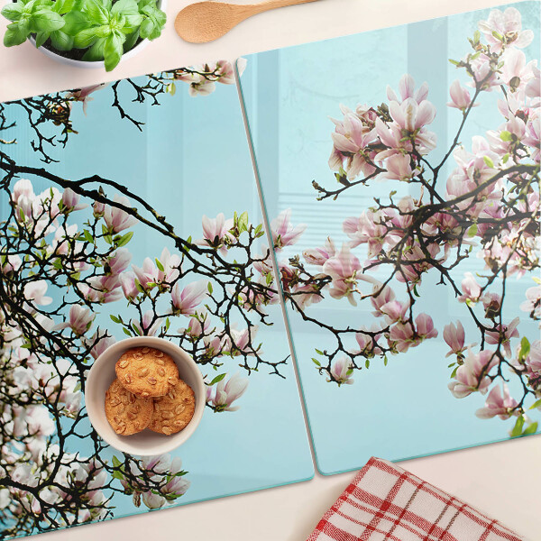 Snijplanken van glas Magnoliabloemen op een blauwe achtergrond