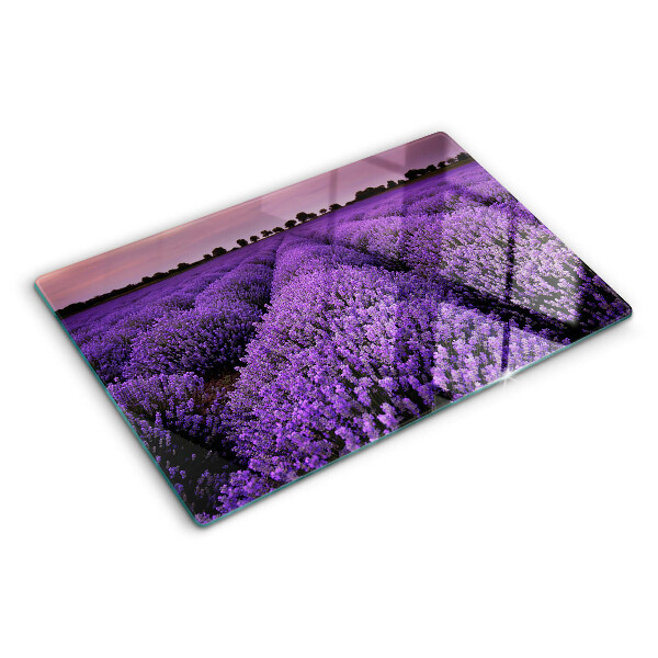 Snijplanken van glas Een lavendelveld in volle bloei.