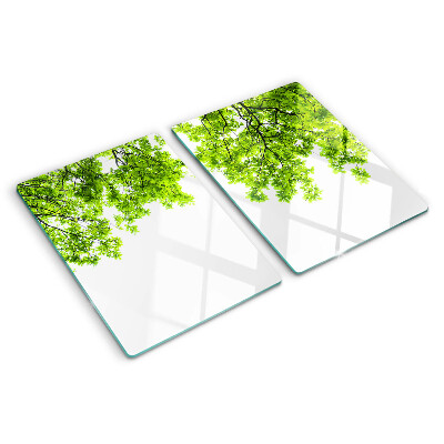 Snijplanken glas Groene bladeren tegen de hemel