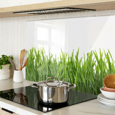 Snijplanken van glas Groen gras