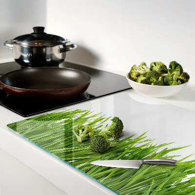 Snijplanken van glas Groen gras