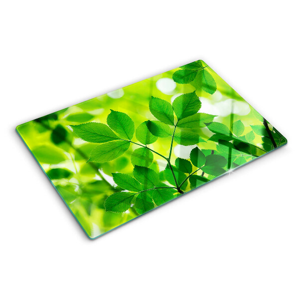 Snijplanken glas Bladeren op een groene achtergrond