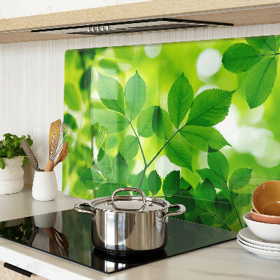 Snijplanken glas Bladeren op een groene achtergrond